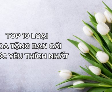 hoa tặng bạn gái