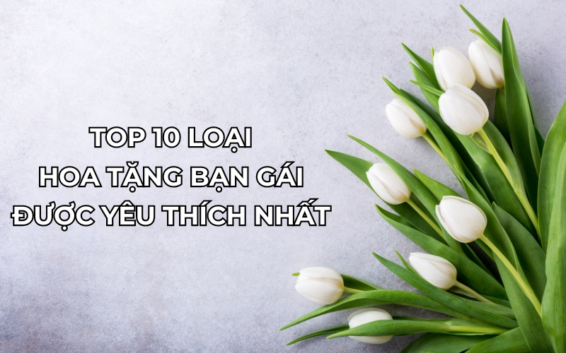 hoa tặng bạn gái