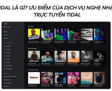 tidal là gì