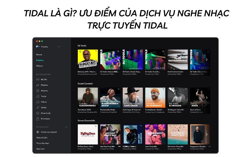 tidal là gì