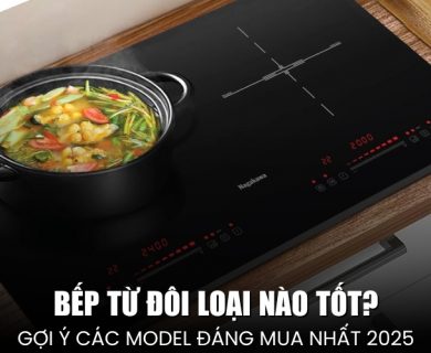 bếp từ đôi loại nào tốt