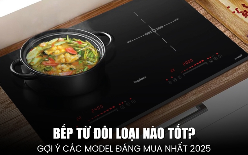bếp từ đôi loại nào tốt